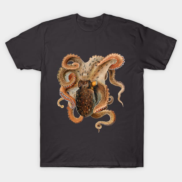 Vintage Octopus Vulgaris by Giacomo Merculiano T-Shirt by MasterpieceCafe